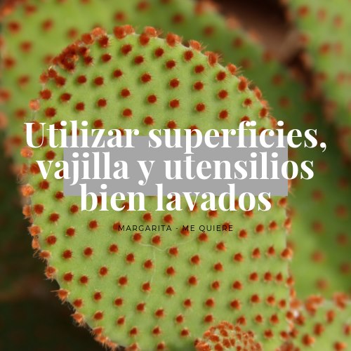Utilizar superficies vajilla y utensilios bien lavados
